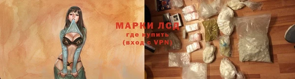 ПСИЛОЦИБИНОВЫЕ ГРИБЫ Вяземский
