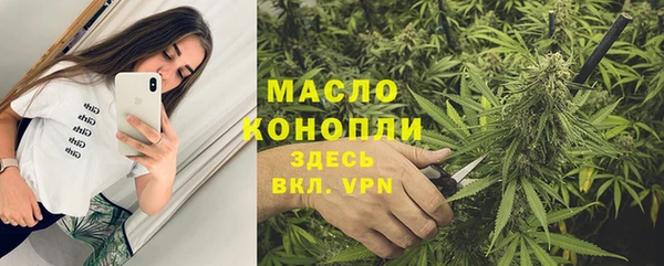 ПСИЛОЦИБИНОВЫЕ ГРИБЫ Вяземский