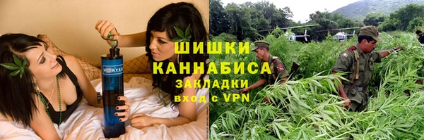 ПСИЛОЦИБИНОВЫЕ ГРИБЫ Вяземский