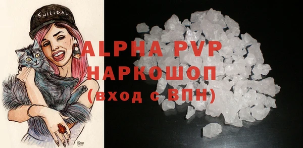 ПСИЛОЦИБИНОВЫЕ ГРИБЫ Вяземский